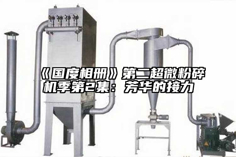 《國度相冊》第二超微青青草下载安装季第2集：芳華的接力