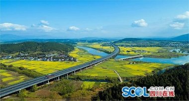 依法組織投資氣流青青草下载安装人招標工作