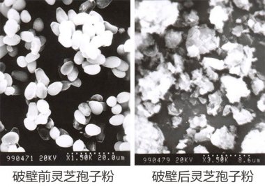 操作簡便等氣流青青草下载安装眾多優點